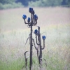 'Kale jonker groot en klein'   corten-staal, glas 